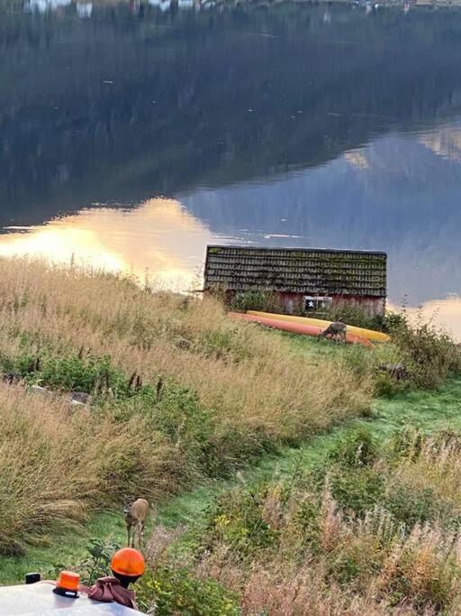 Sjarmerende Anneks I Sigerfjord, Vesteralen Сортланн Экстерьер фото